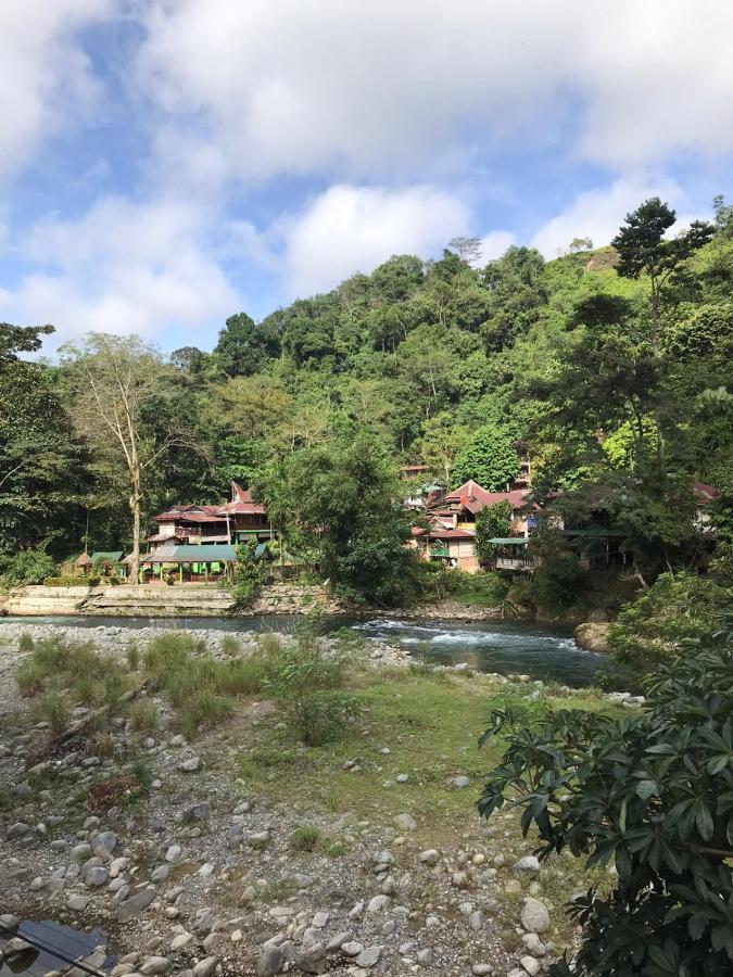 Thomas' Retreat Bukit Lawang Otel Dış mekan fotoğraf