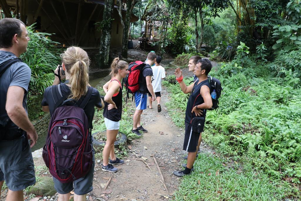 Thomas' Retreat Bukit Lawang Otel Dış mekan fotoğraf