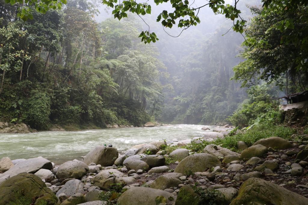 Thomas' Retreat Bukit Lawang Otel Dış mekan fotoğraf